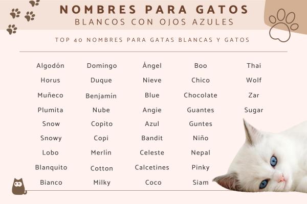 Nombres para Gatos con Ojos Verdes