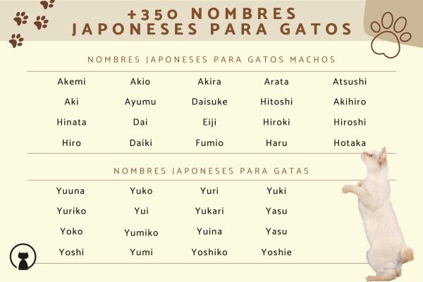 Nombres para Gatos Hembras en Japonés