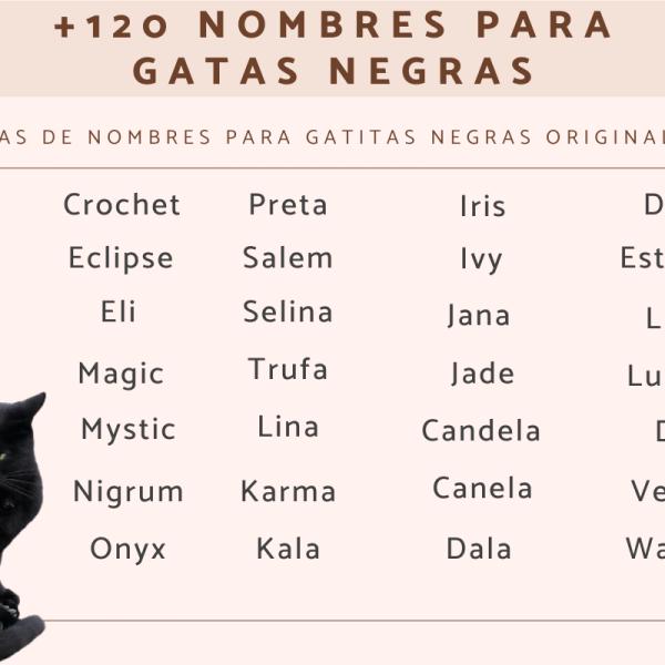 Los mejores Nombres para gatos hembras negras