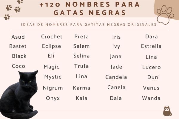 Nombres para Gatos Megros