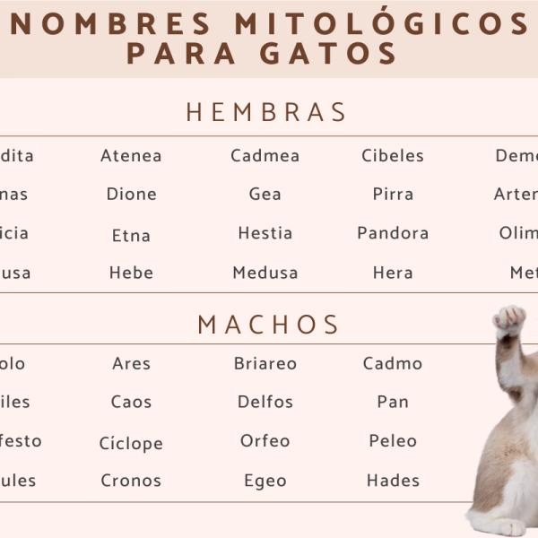 Nombres para Gatos Romanos