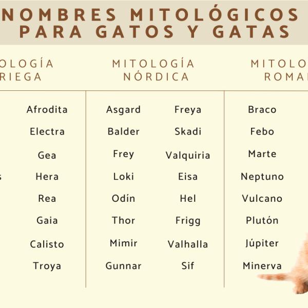 Los mejores Nombres para gatos romanos