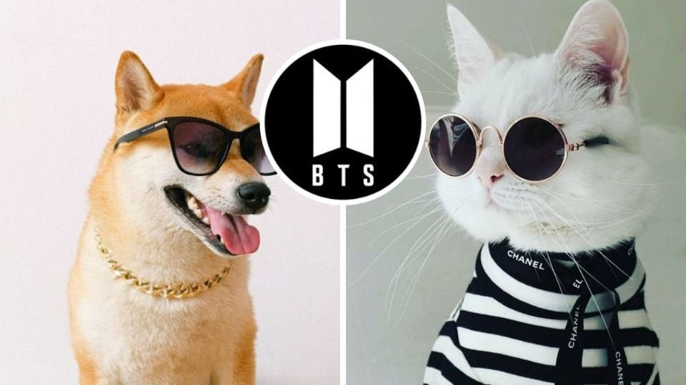Nombres para Perros BTS