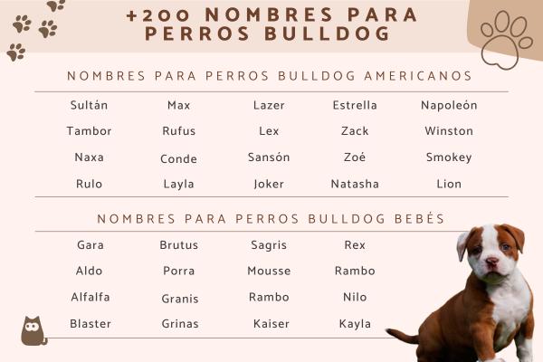 Nombres para Perros Bulldog Inglés