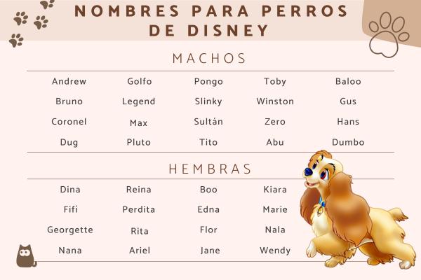 Nombres para Perros de Películas Disney