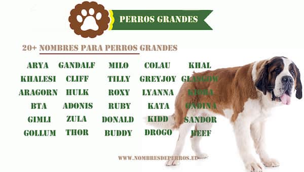 Nombres para Perros Fila
