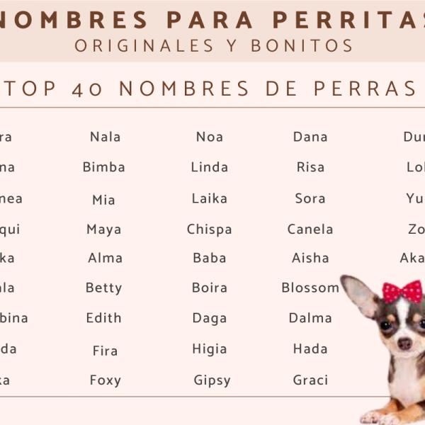 Nombres Cortos para Perra