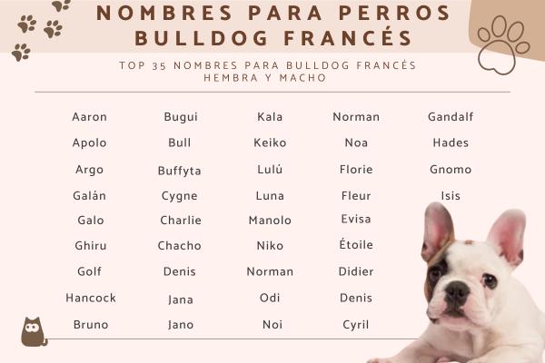 Nombres para Perros Hembras en Francés