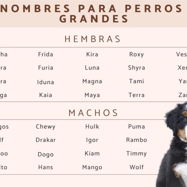 Nombre Imponente para Perro