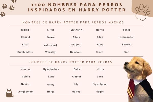 Nombres para Perros Inspirados en Películas