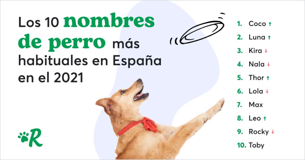 Nombres para Perros Inspirados en Series