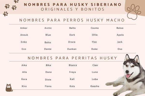 Nombres para Perros Lobos Blancos