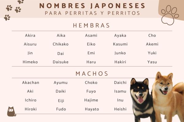 Nombres para Perros Mitología Japonesa