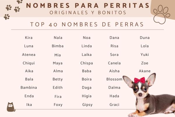Nombres para Perros Nena