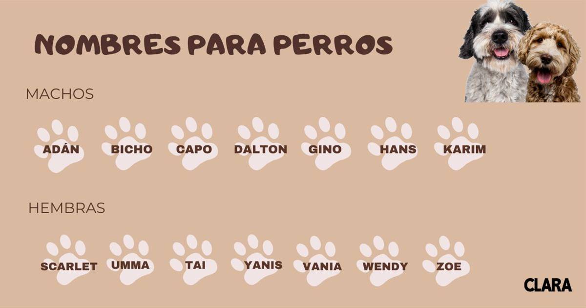 Nombres para Perros que Imponen