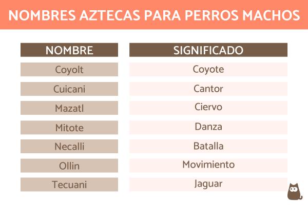 Nombres para Perros Xoloitzcuintle Macho