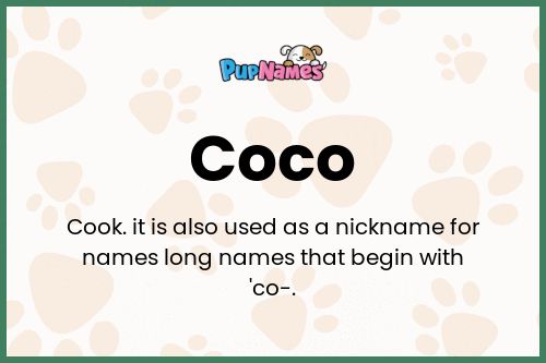 Significado del Nombre Coco para Perros