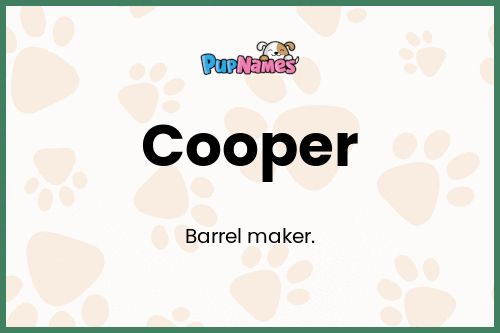Significado del Nombre Cooper para Perro